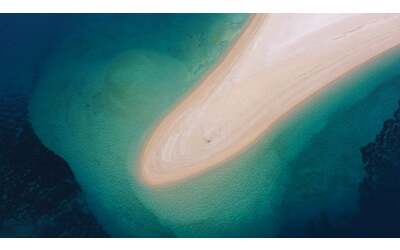 Oceani  sempre  pi    scuri  un pericolo per la vita marina