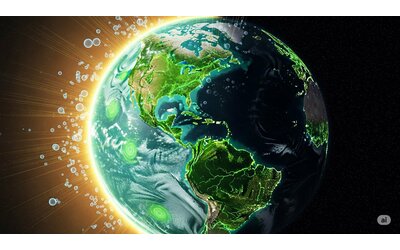 Piante  pi    attive  mari in affanno  la fotosintesi globale cambia