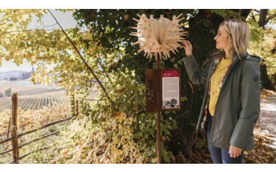 L autunno dorato di Tirolo in Alto Adige T rggelen mele castagne vino e antiche tradizioni