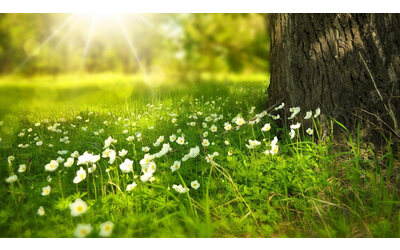 Lifezone Metals presenta la valutazione iniziale per il Progetto Kabanga Nickel in Tanzania businesswire